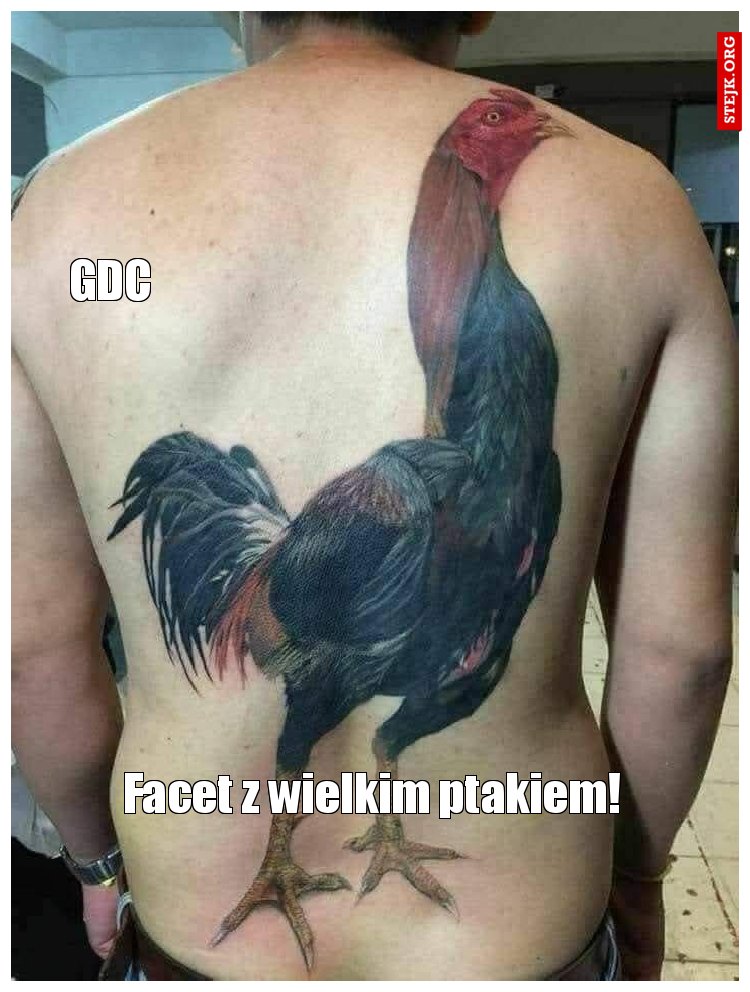 Facet z wielkim ptakiem!