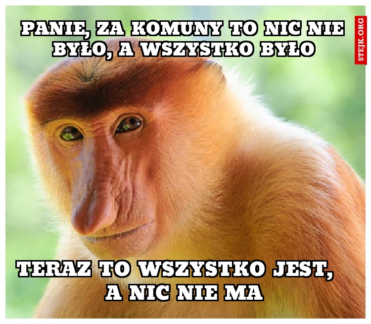 panie, za komuny to nic nie było, a wszystko było