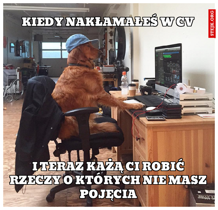 Kiedy nakłamałeś w CV