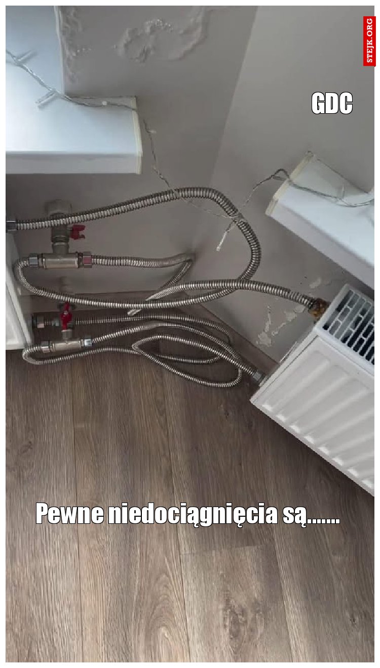 Pewne niedociągnięcia są.......