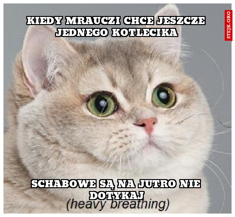 KIEDY MRAUCZI CHCE JESZCZE JEDNEGO KOTLECIKA
