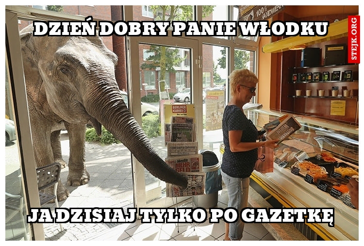 Dzień dobry panie Włodku