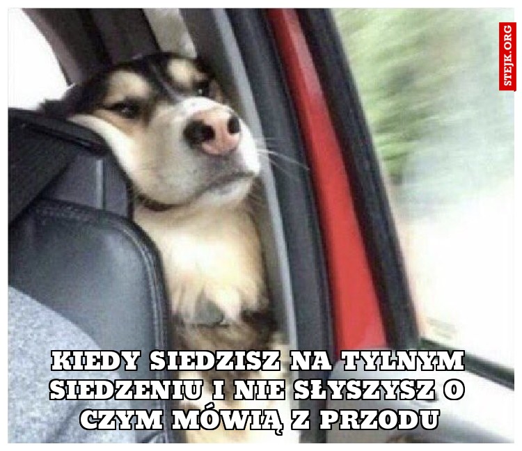 Kiedy siedzisz na tylnym siedzeniu i nie słyszysz o czym mówią z przodu