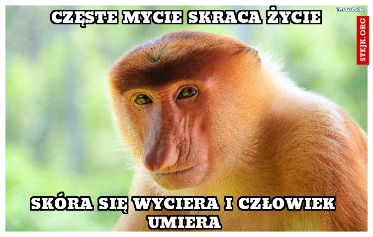 Częste mycie skraca życie