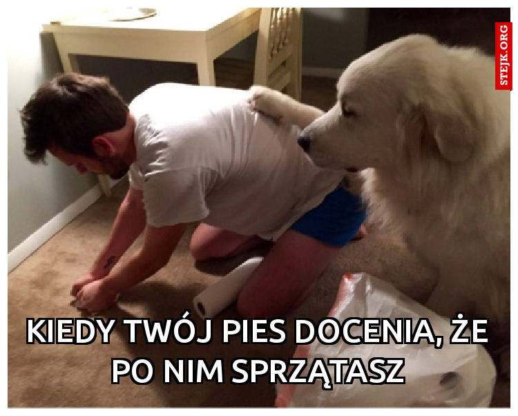 Kiedy Twój pies docenia, że po nim sprzątasz