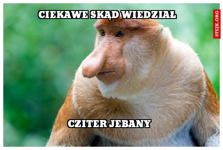 Ciekawe skąd wiedział