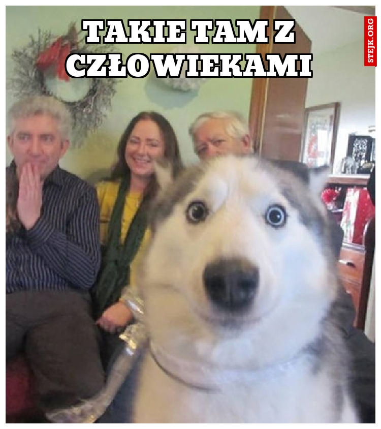 Takie tam z człowiekami