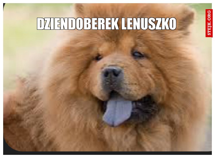 Dziendoberek Lenuszko