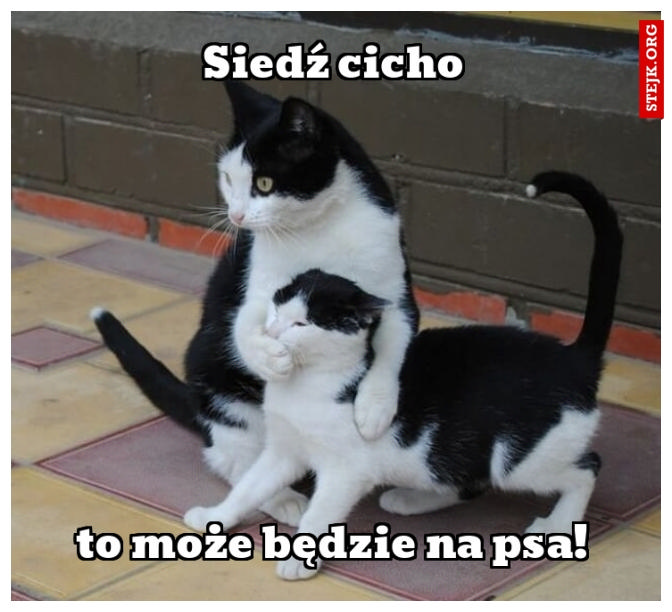 Siedź cicho