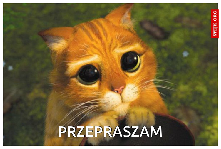 PRZEPRASZAM