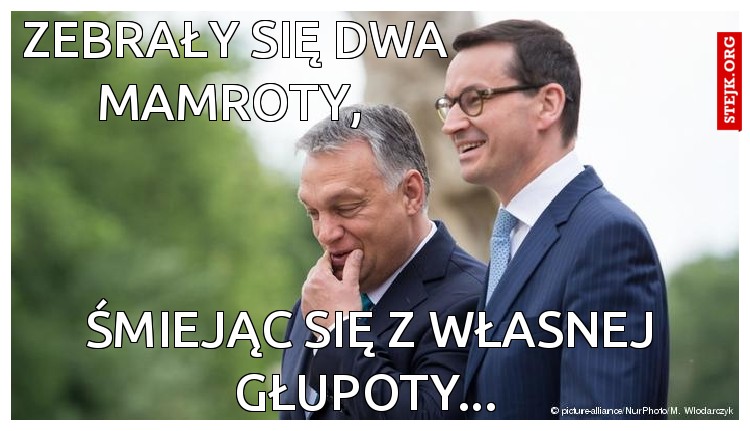 Zebrały się dwa mamroty, 