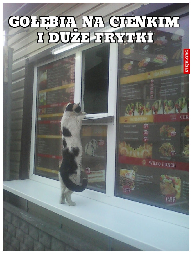 Gołębia na cienkim i duże frytki