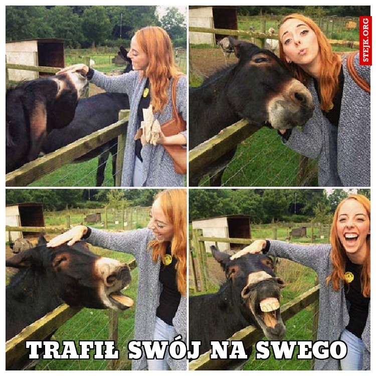 Trafił swój na swego