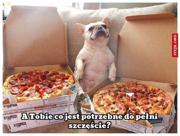 Co jest potrzebne do pełni szczęścia?