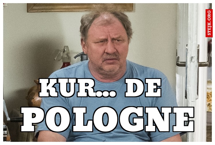 Kur... de Pologne