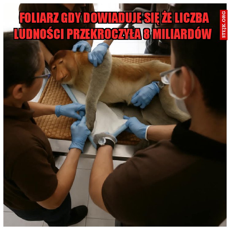 foliarz gdy dowiaduje się że liczba ludności przekroczyła 8 miliardów 