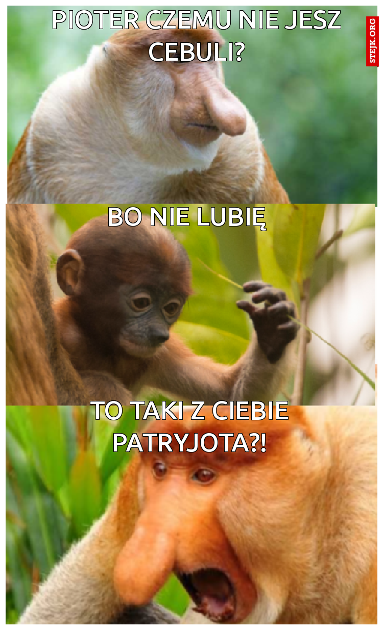 Pioter czemu nie jesz cebuli?