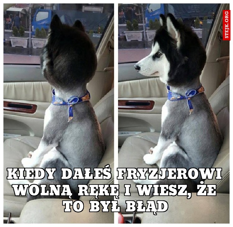 Kiedy dałeś fryzjerowi wolną rękę i wiesz, że to był błąd