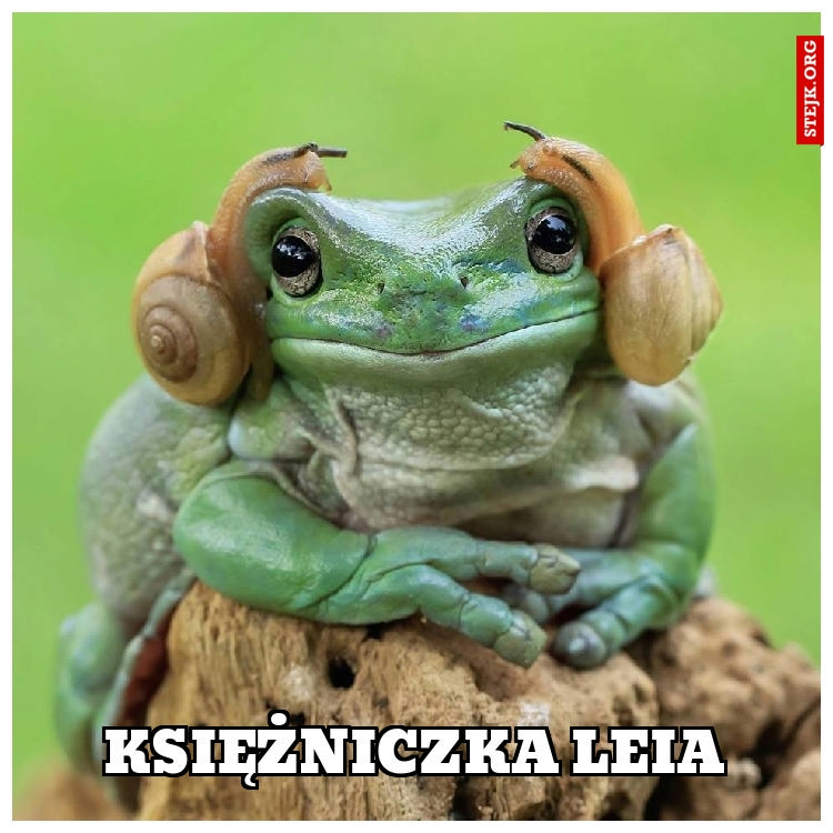 Księżniczka Leia