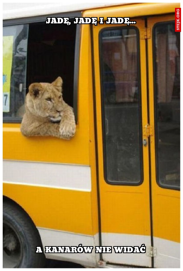 Jadę, jadę i jadę...