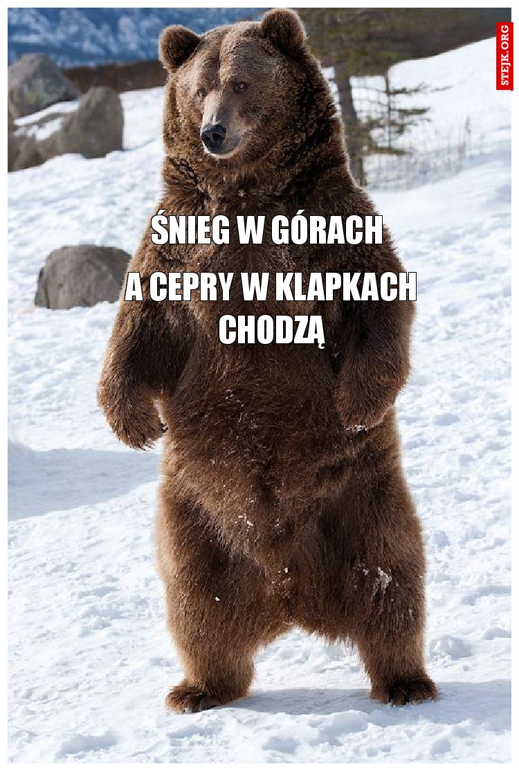 śnieg w górach