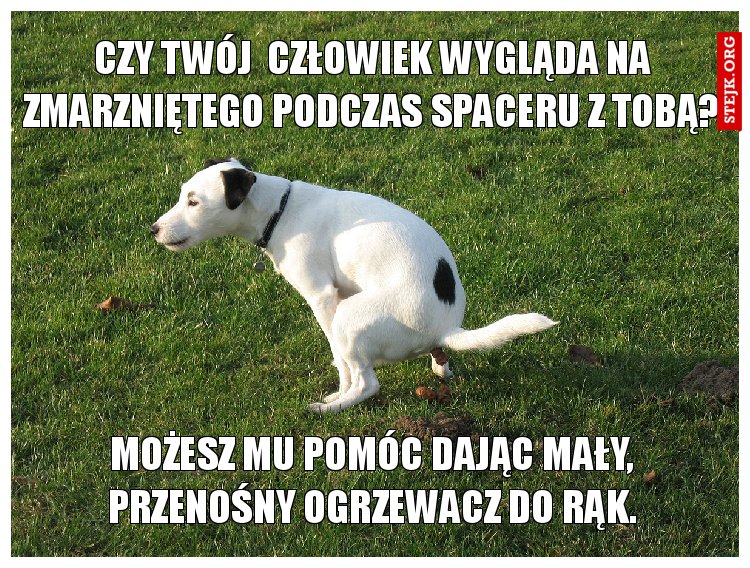 czy twój  człowiek wygląda na zmarzniętego podczas spaceru z tobą?