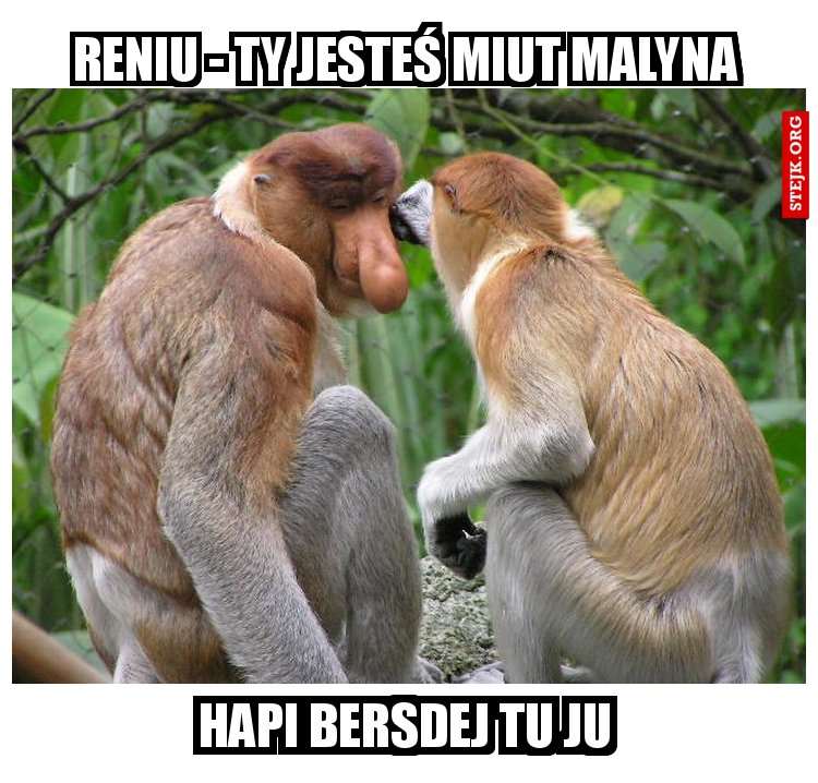 RENIU - ty jesteś miut malyna