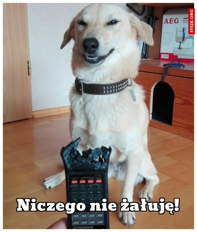 Niczego nie żałuję!