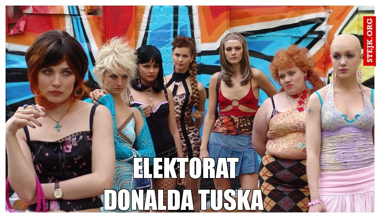 Elektorat Donalda Tuska 