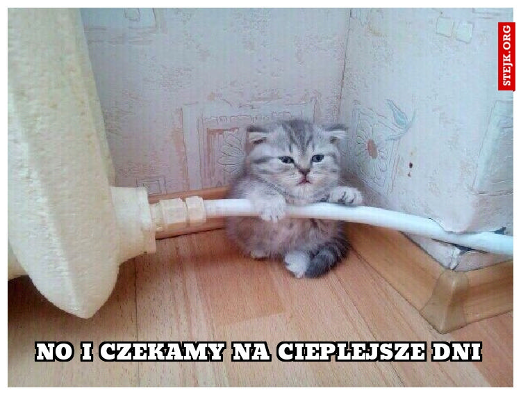 No i czekamy na cieplejsze dni