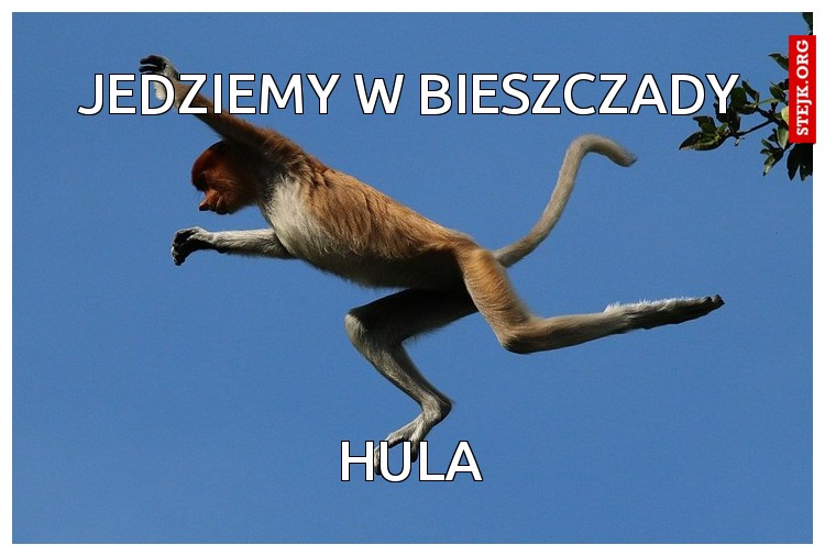 jedziemy w bieszczady