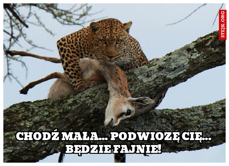 Chodź Mała... Podwiozę Cię... Będzie fajnie!