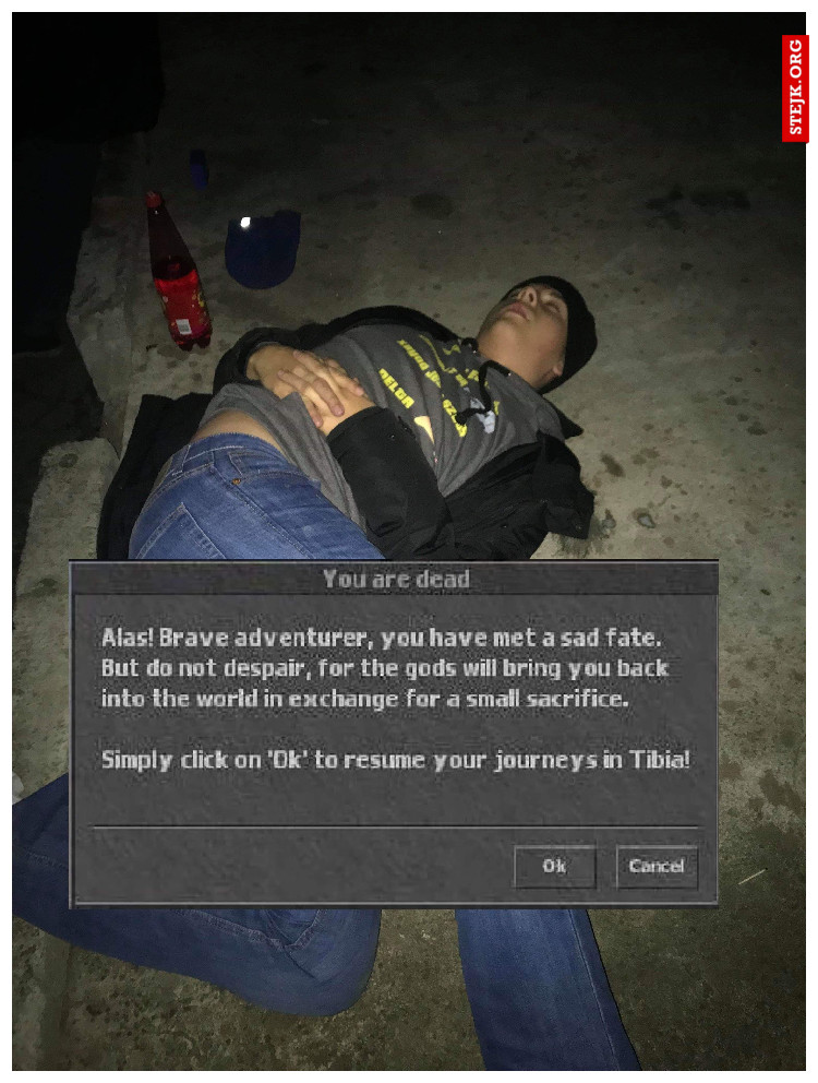 WerekXD na ostrej bani 